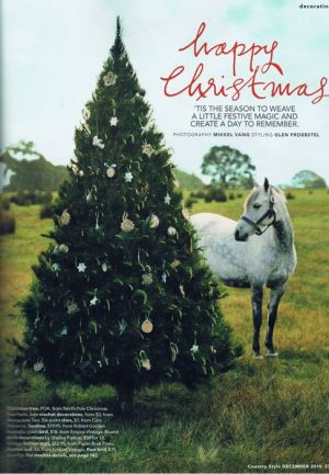 An Australian Christmas - mylusciouslife.com - country style2.jpg